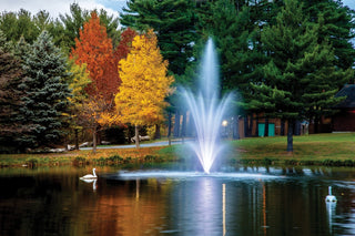 The Amherst Fountain provides beauty and a healthy aquatic environment.