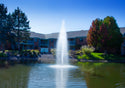Great Lakes Fountain For Medium, Residential Ponds