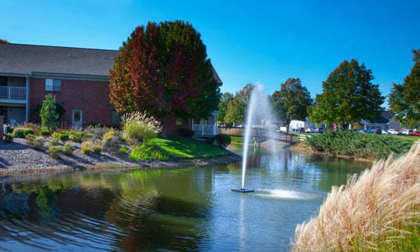 Great Lakes Fountain For Medium, Residential Ponds
