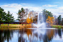 Skyward Fountain For Large, Commercial Ponds