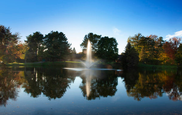 Skyward Fountain For Large, Commercial Ponds