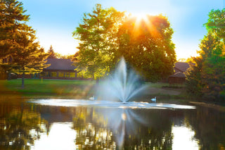 Great Lakes Fountain For Medium, Residential Ponds