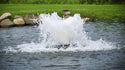 Scott Aerator Pond Aeration Products, Boilermaker Aerator for large, commercial ponds