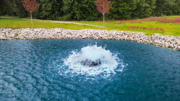 Boilermaker for Medium, Residential Ponds