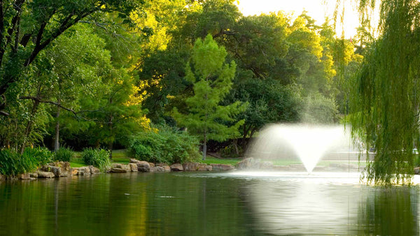 DA-20 Display Aerator for Large, Commercial Ponds