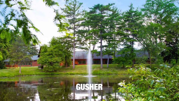 Great Lakes Fountain For Large, Commercial Ponds
