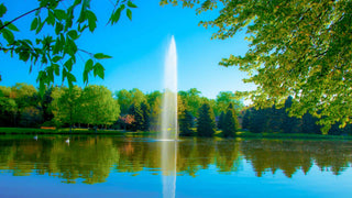 Keep your pond healthy by infusing oxygen with the help of the Gusher Fountain.