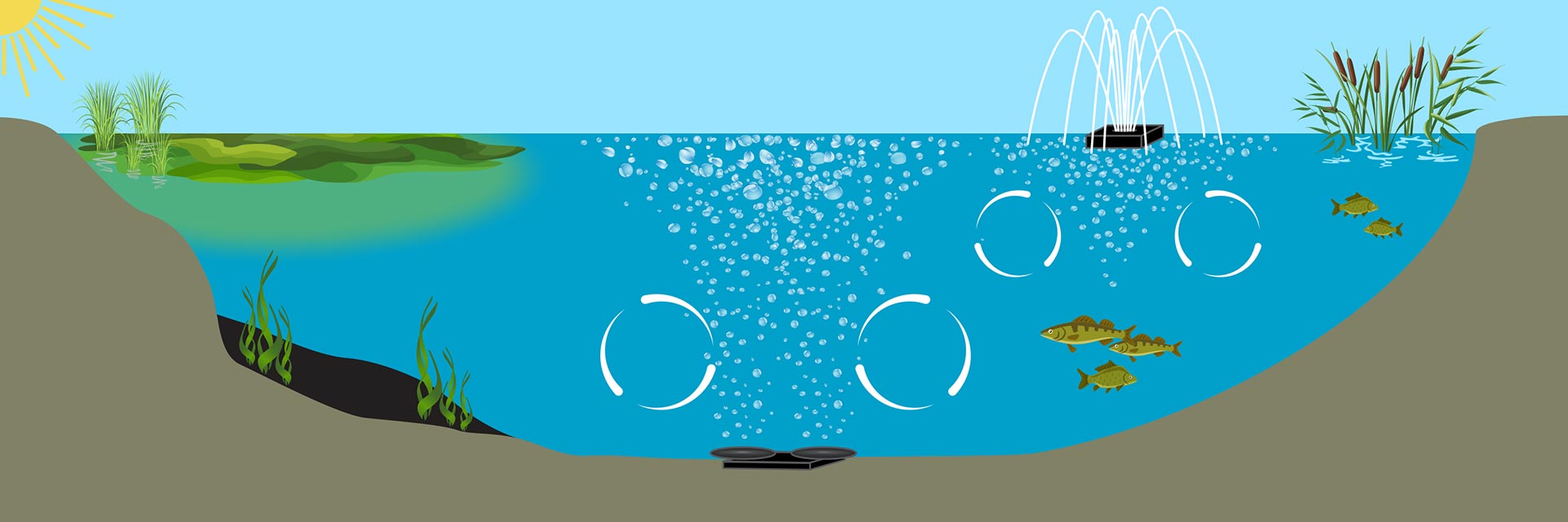 Pond Aeration Benefits