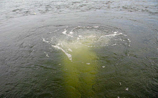 Bubble Pro Subsurface Aerators