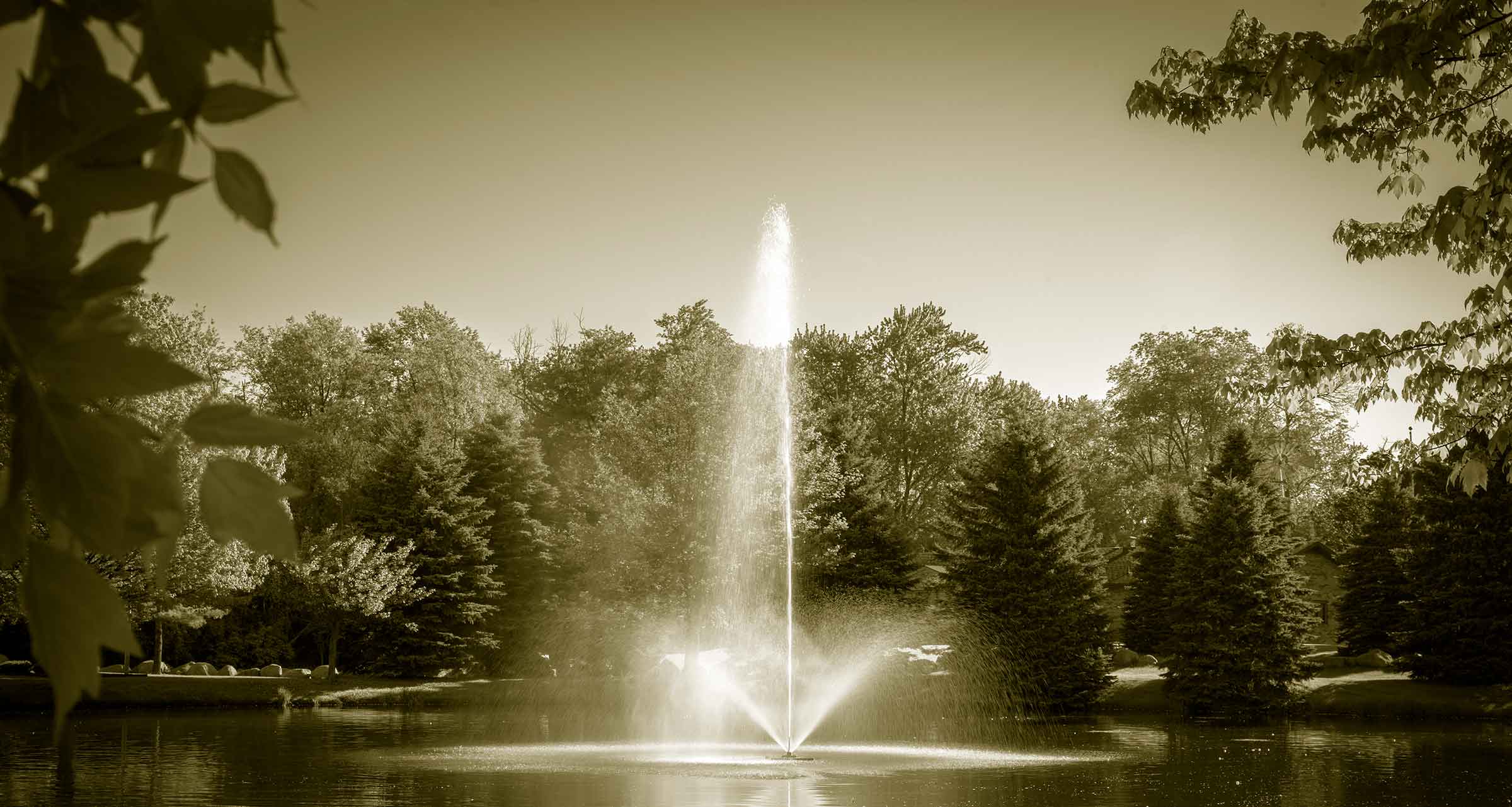 Delivering 60+ Years of Beautiful, Healthy Water!