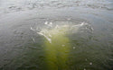 Solar Subsurface Aeration System