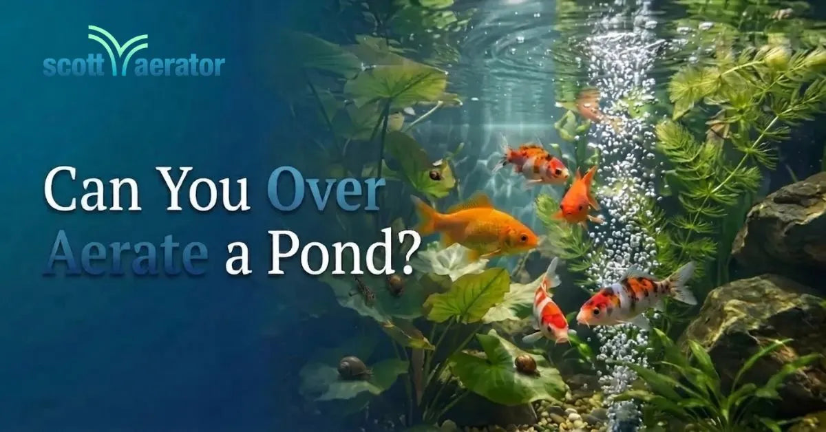 Can You Over Aerate a Pond?