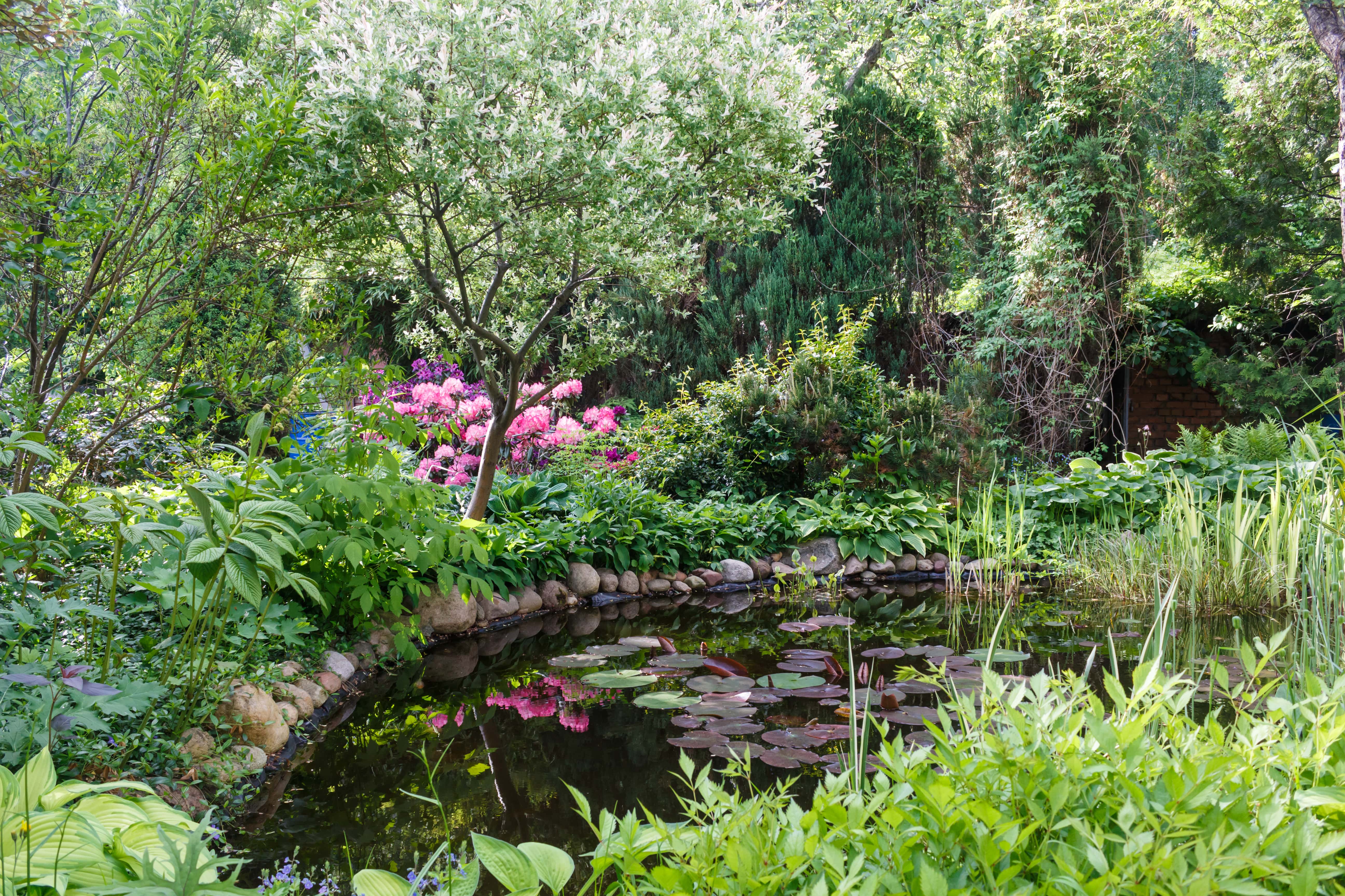 Above Ground Pond Ideas