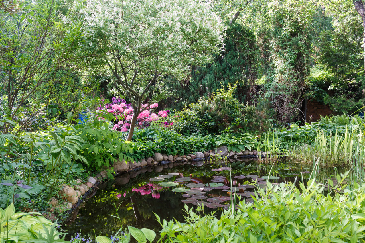Above Ground Pond Ideas
