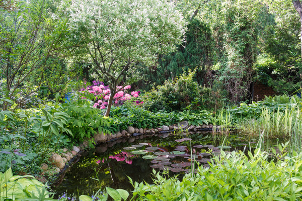 Above Ground Pond Ideas