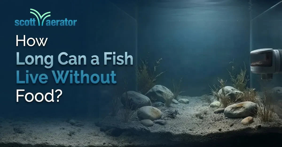 How Long Can a Fish Live Without Food?