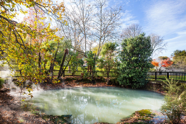 How to Build a Pond