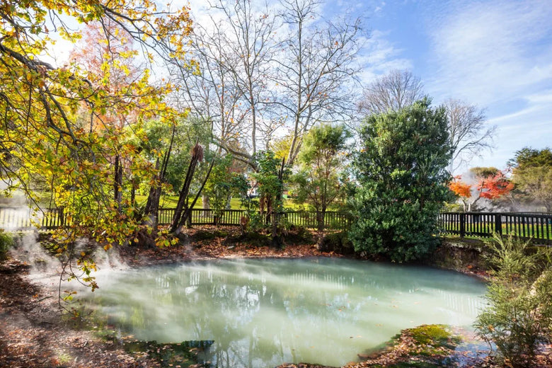 How to Build a Pond -A Complete Step-by-Step Guide