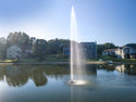 Gusher Fountain For Small, Residential Ponds