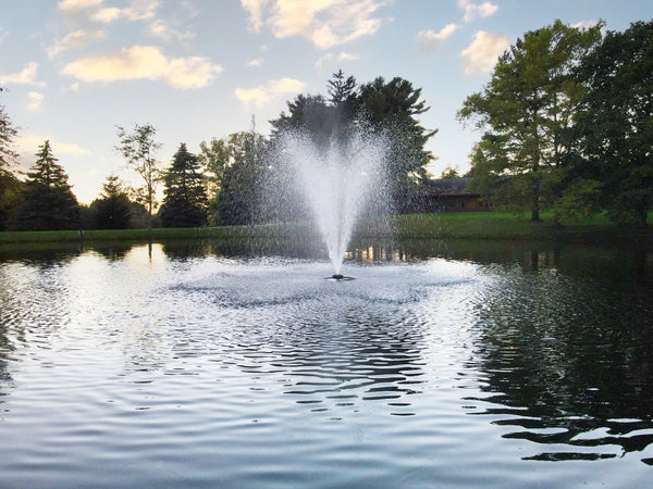 Millbrook Fountain For Small, Residential Ponds