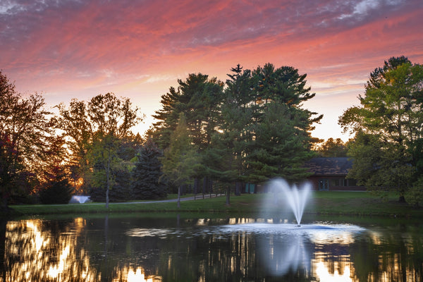 Millbrook Fountain For Small, Residential Ponds