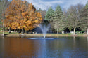 Millbrook Fountain For Small, Residential Ponds