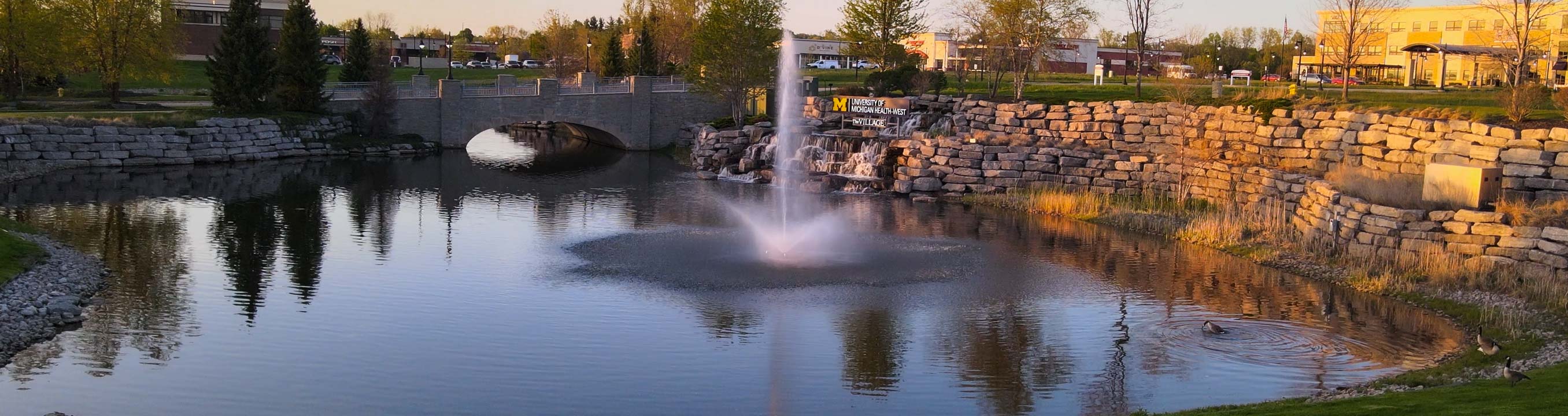 Skyward Fountain For Large, Commercial Ponds
