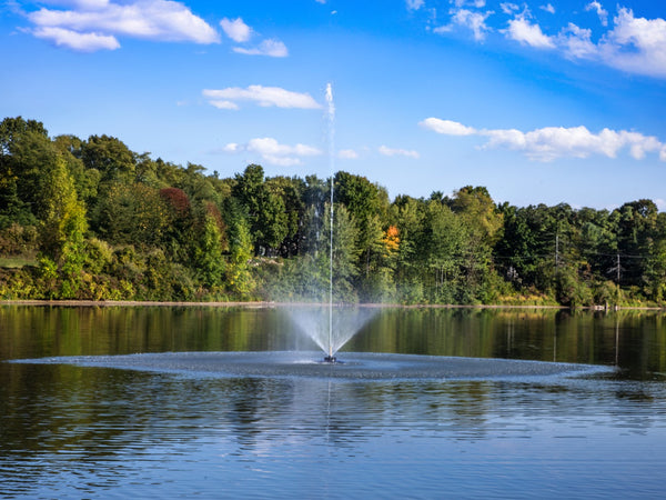 Skyward Fountain For Small, Residential Ponds