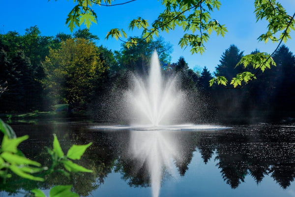 Great Lakes Fountain For Small, Residential Ponds