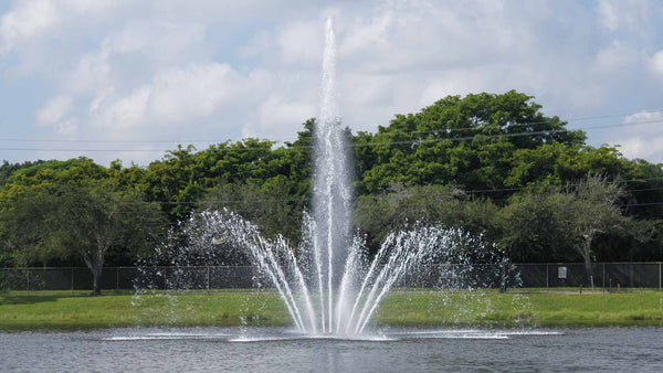 Fountain in a park with trees and blue sky in the background