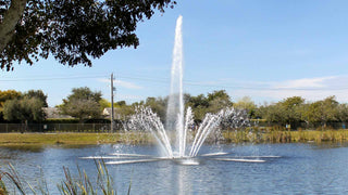 Fountain in a pond with trees and clear sky in the background