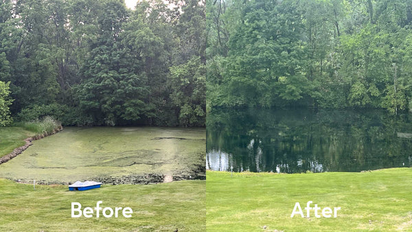 Scott Aerator Algae Shield