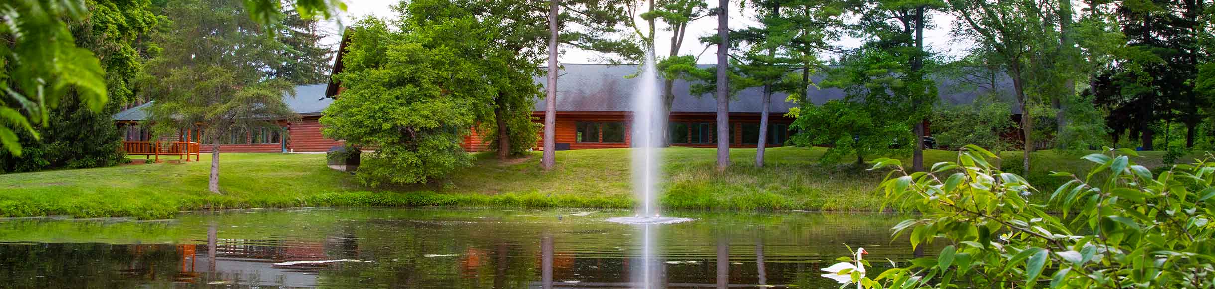 Gusher Fountain For Small, Residential Ponds