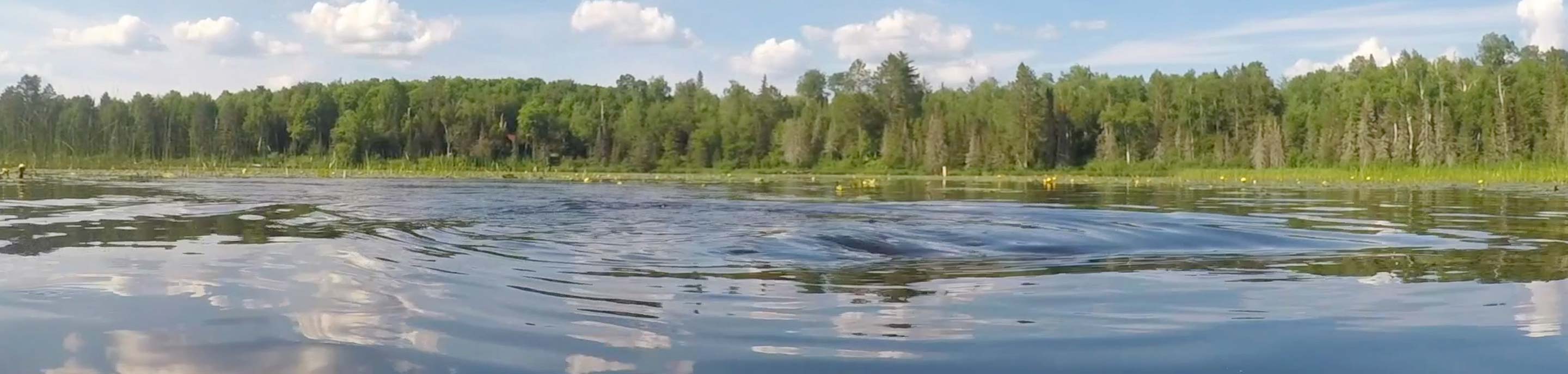 Aquasweep/De-Icer Propellers