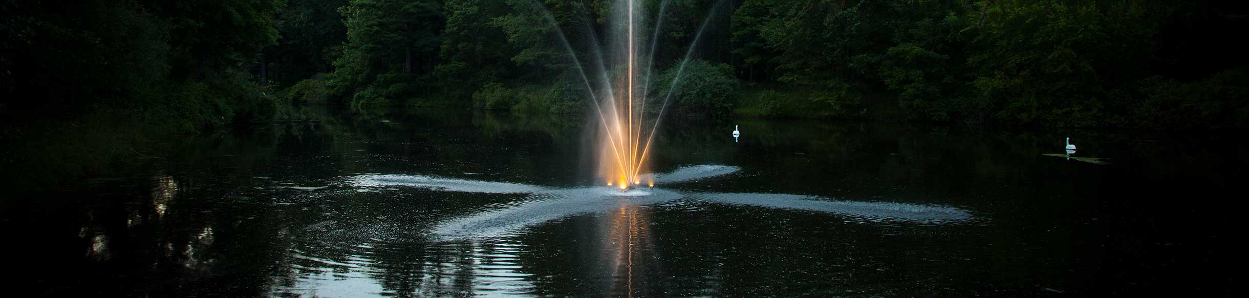 Night Glo LED Light Sets