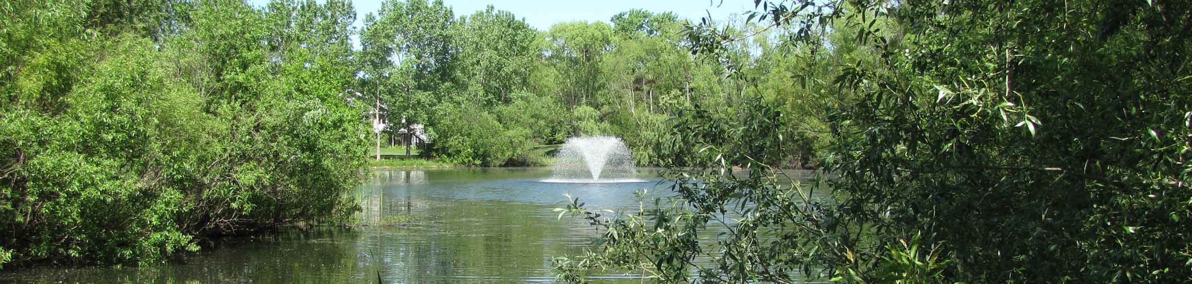 North Star Fountain Aerator for Medium, Residential Ponds