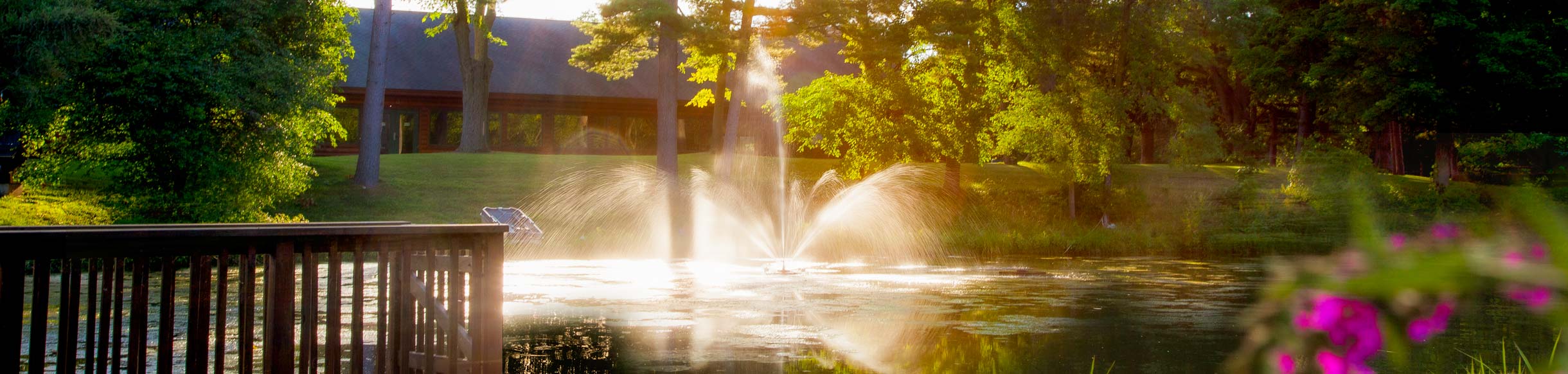 Skyward Fountain For Small, Residential Ponds
