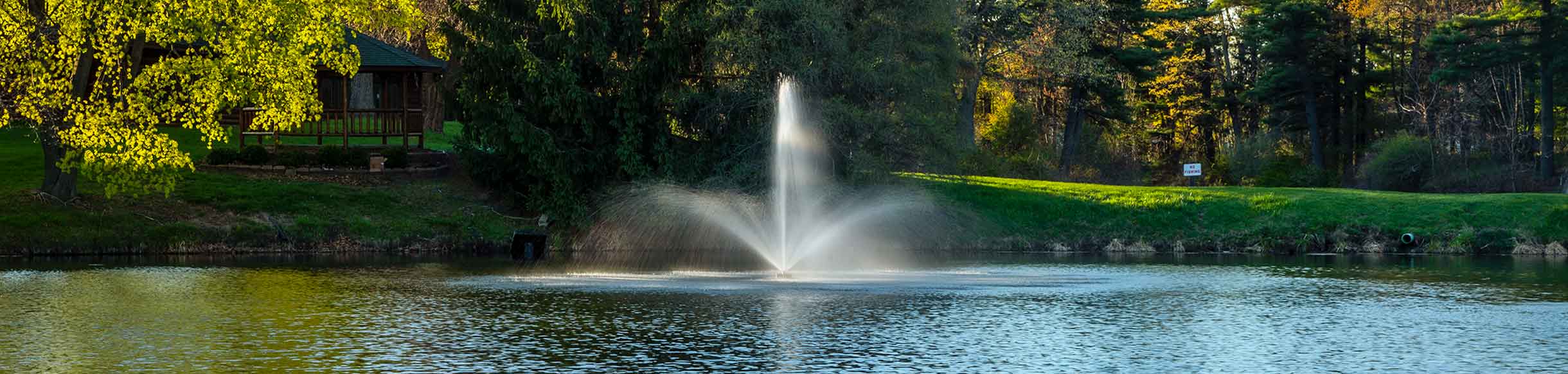 Great Lakes Fountain For Small, Residential Ponds