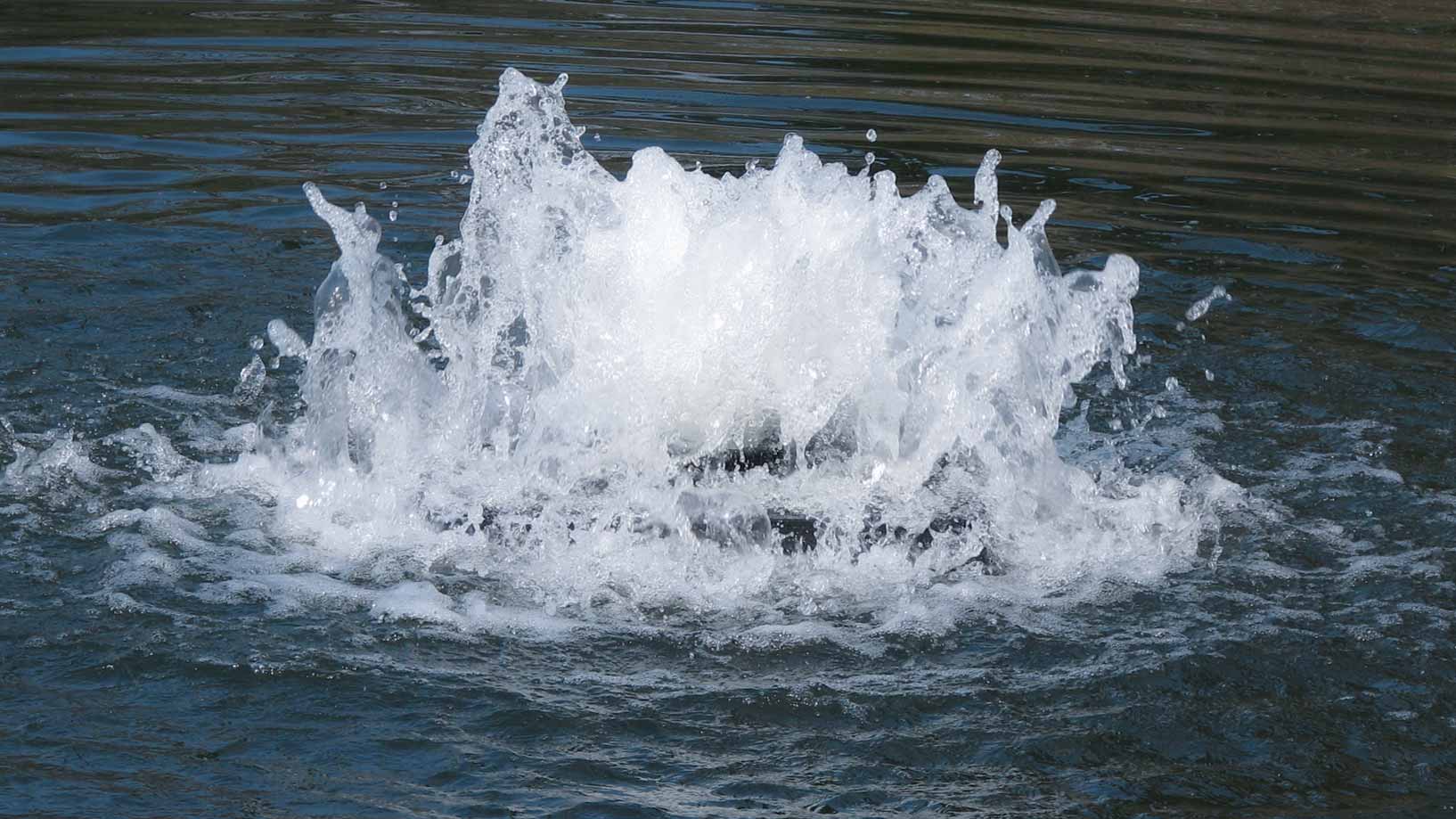 Boilermaker for Medium, Residential Ponds