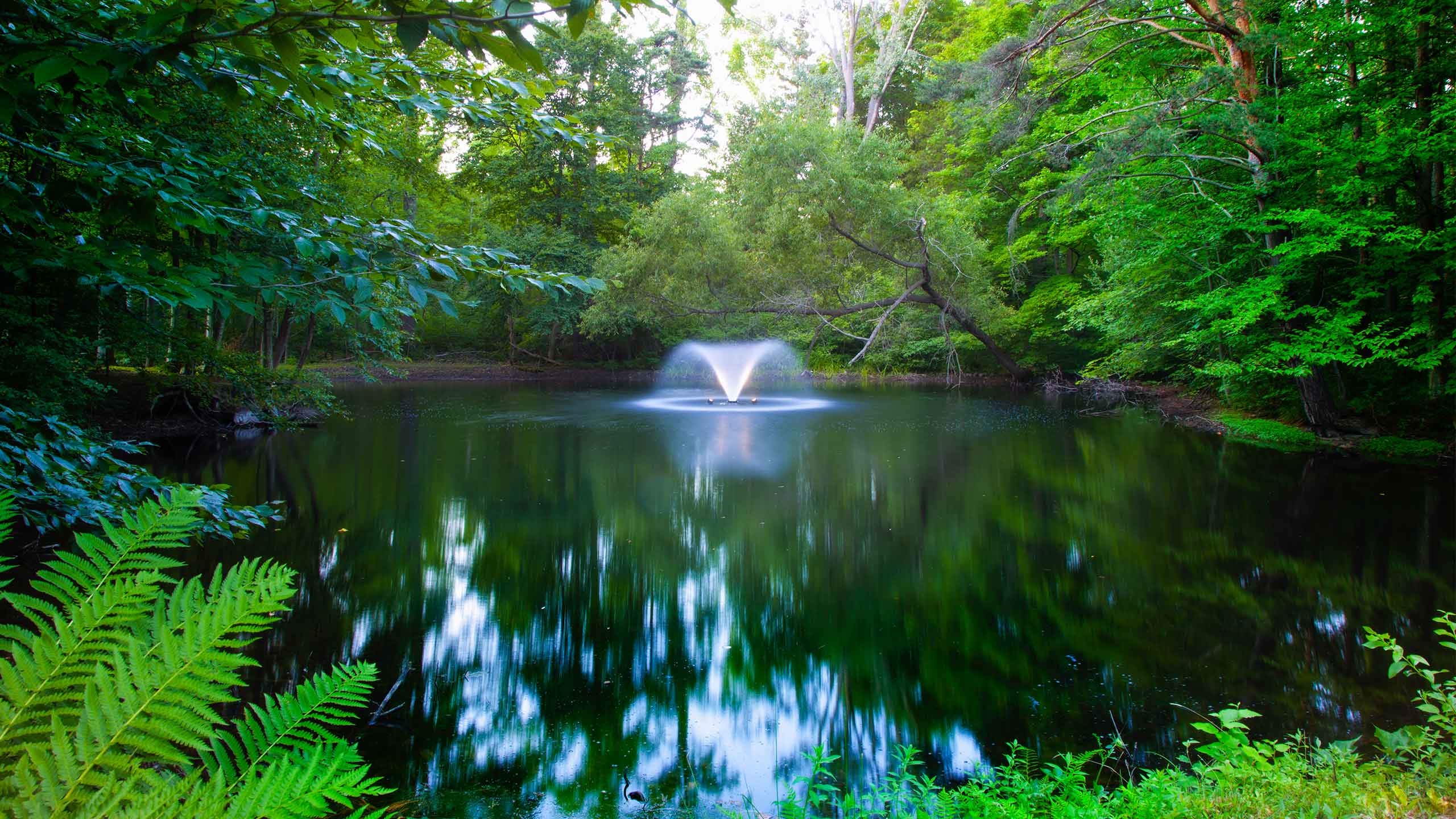 Comprehensive Aeration Kit