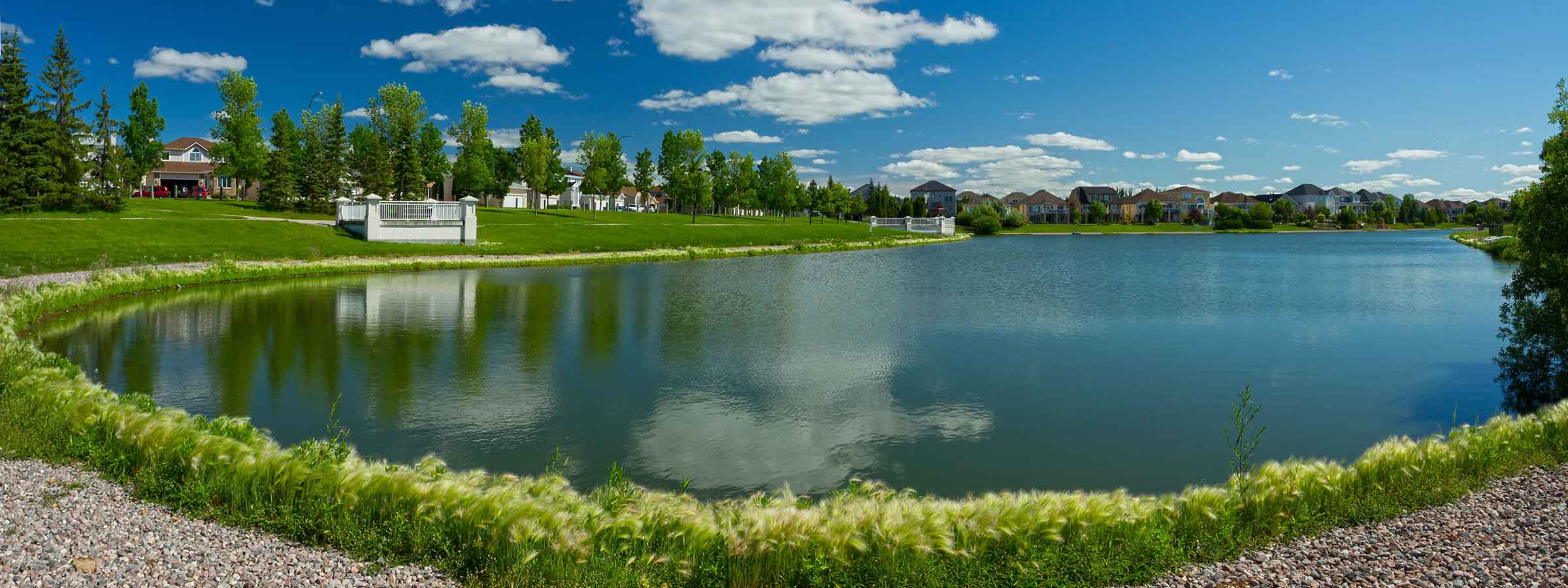 Beachroller Weed Eliminator