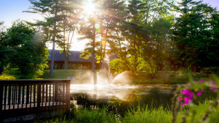 The cascading Skyward Fountain for small residential ponds