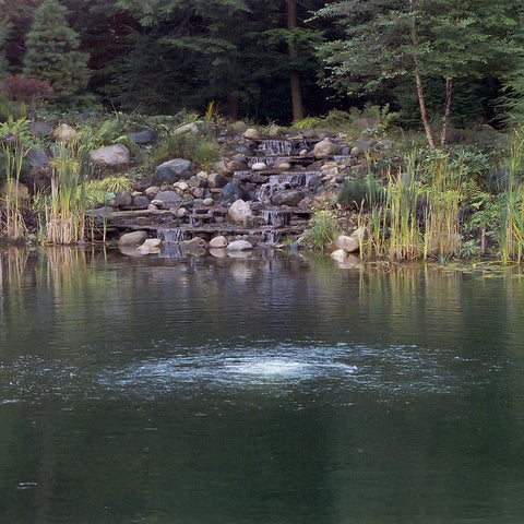 Small waterfall in a natural setting with trees and rocks.