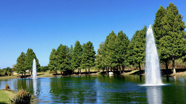 Vertex GeyserJet Fountain